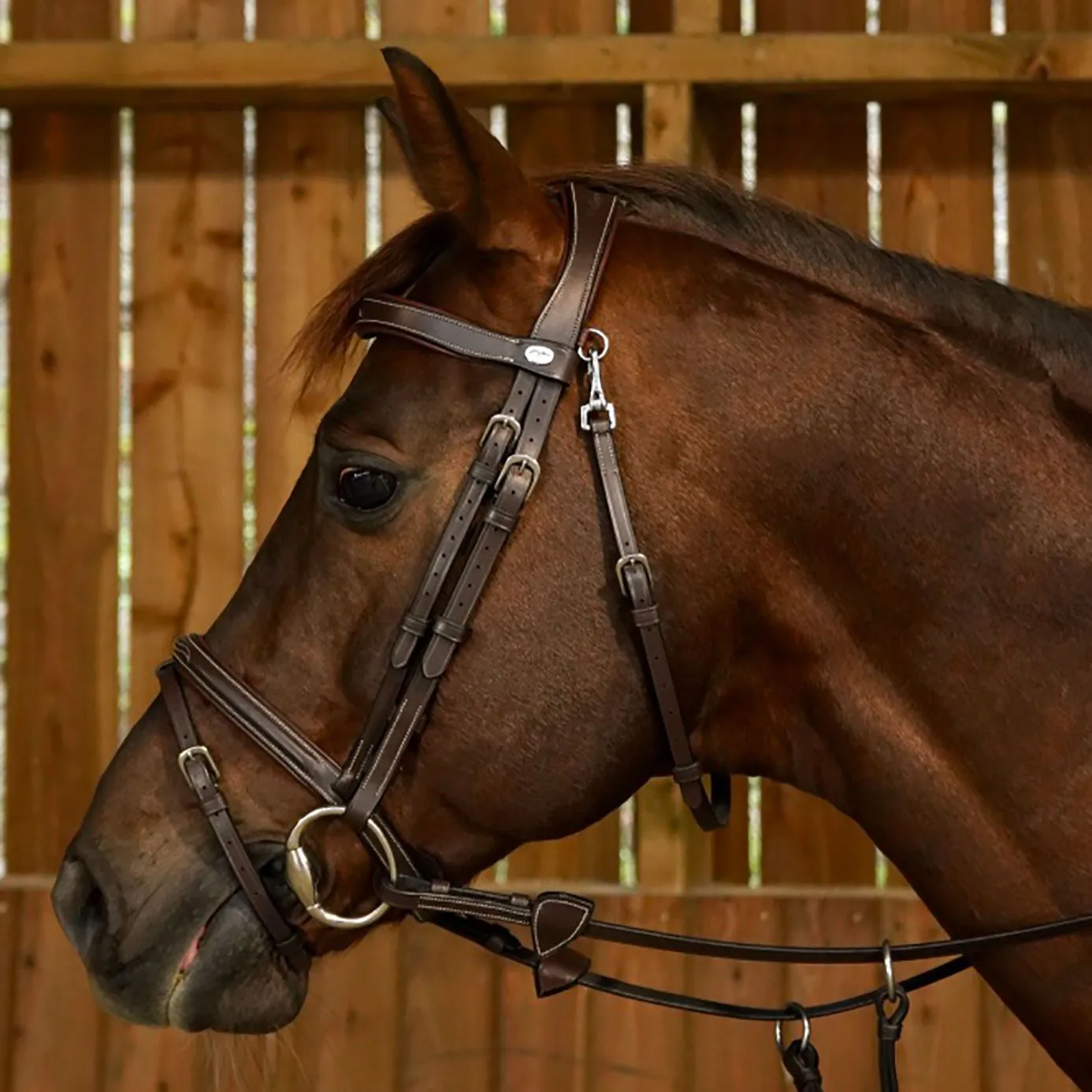 Dy'on Working Collection Fancy Flash Noseband Bridle - Brown