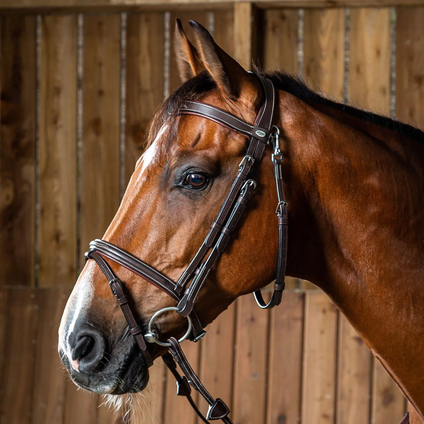 Dy'on Working Collection Fancy Flash Noseband Bridle - Brown