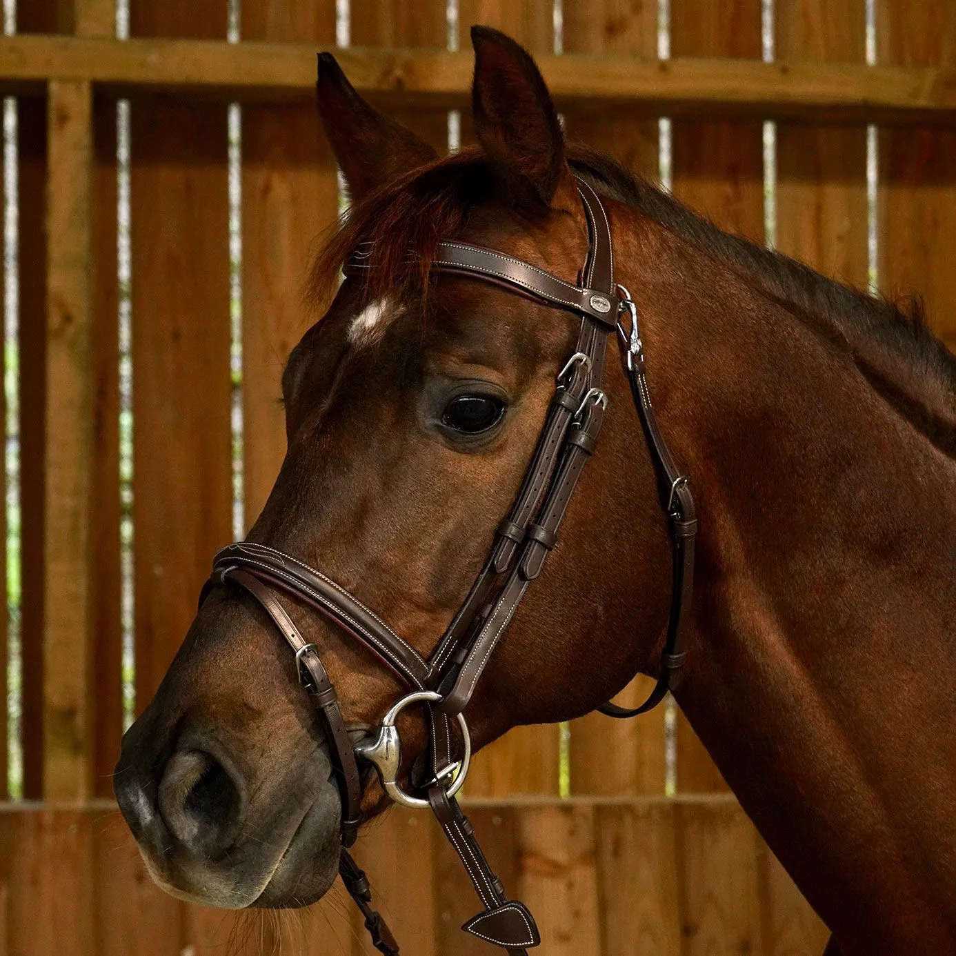 Dy'on Working Collection Fancy Flash Noseband Bridle - Brown